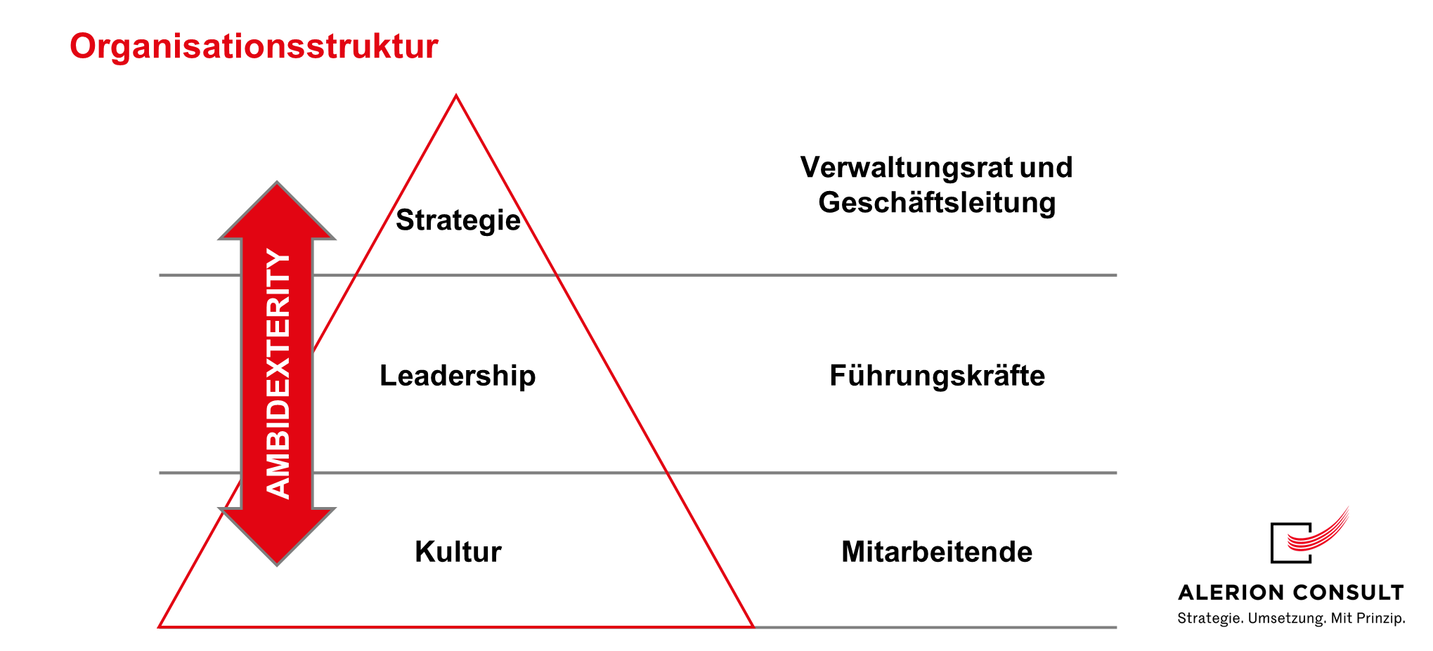 Ambidexterity Organisation