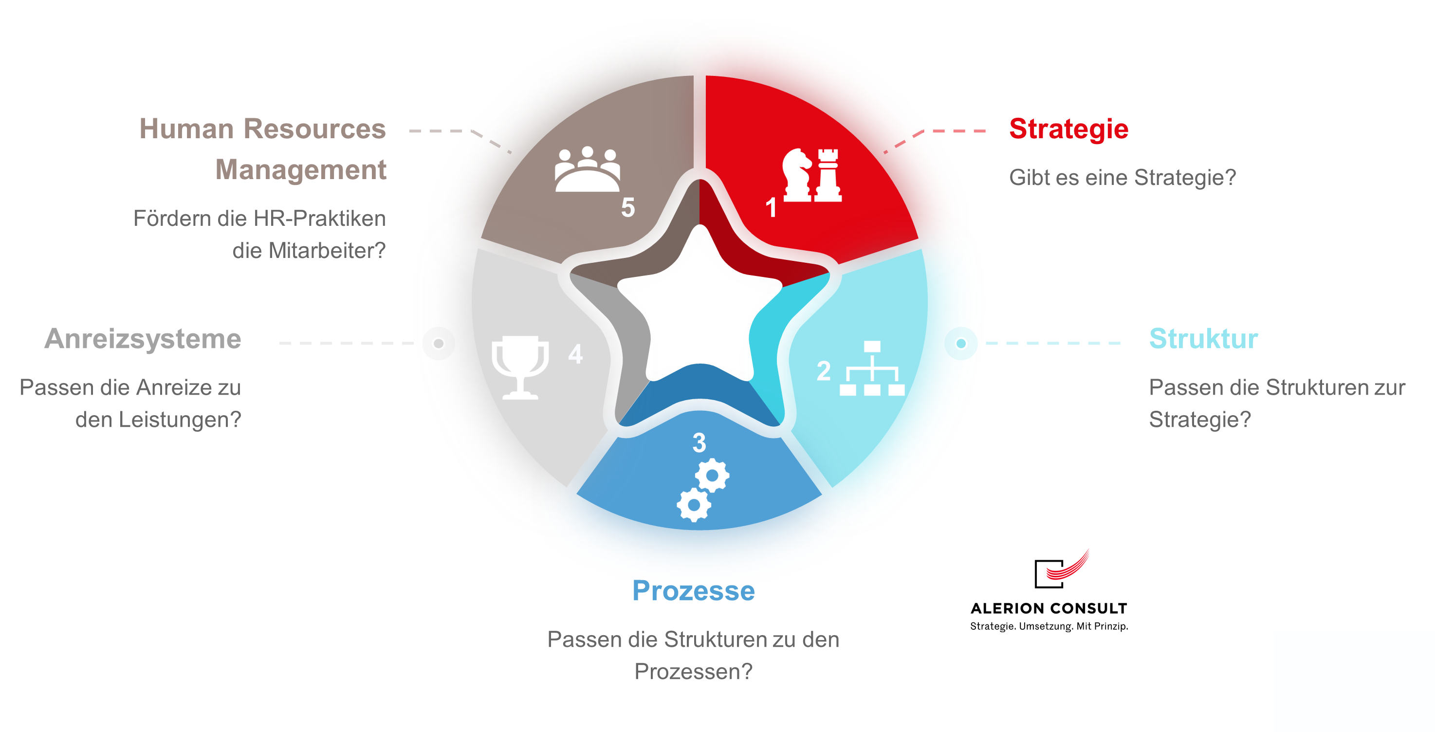 strategieprozesse Diagnose - STAR-Modell